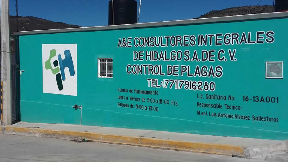 A&E Consultores Integrales de Hidalgo